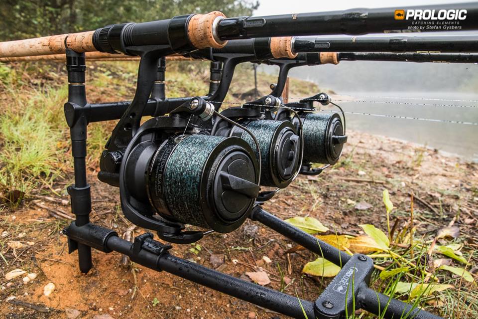 Featured Friday - Prologic Spider Pod 3 Rod – Taskers Angling