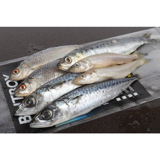 Baitbox Pike Pack x 6/7 Fish(In-Store Only) - Taskers Angling