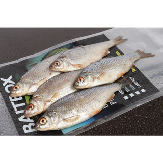 Baitbox Zander Pack Roach x 5/6(In-Store Only) - Taskers Angling