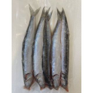 Baitbox Anchovies x5 (In-Store Only)