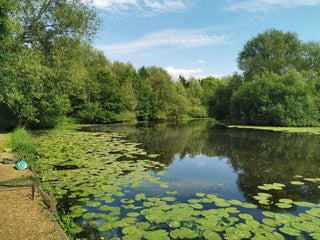 Places to fish: Winterley Pool Fishery
