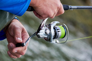Spinning Reels