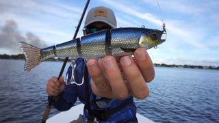Swim Baits