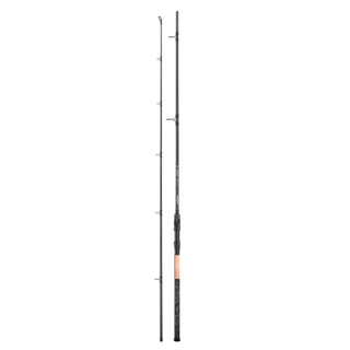 Skeater Chaser Deadbait Stalking Rod 9ft 20-50g