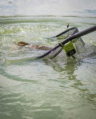 Matrix Carp Latex Landing Nets