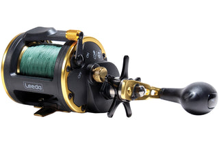 Icon Boat Multiplier 20 Fishing Reel