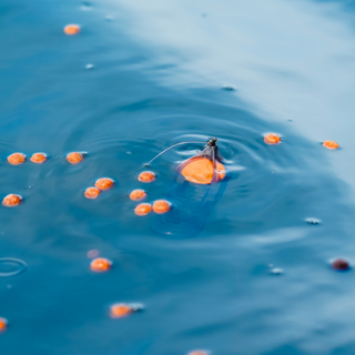 Korum Surface Feeder Float