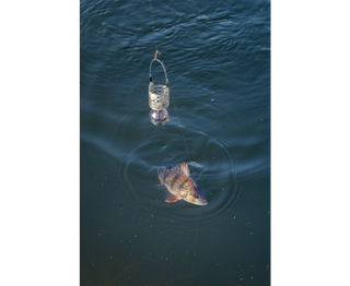 Korum Slow Sinking Feeder