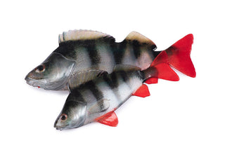 Fox Rage Ultra Natural Perch Fillet 6cm