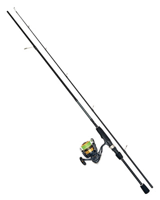 Daiwa D-Spin Combo