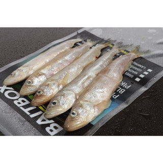 Baitbox Medium Smelt x 5/6(In-Store Only) - Taskers Angling