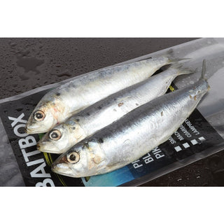 Baitbox Sardine x 3/4(In-Store Only) - Taskers Angling