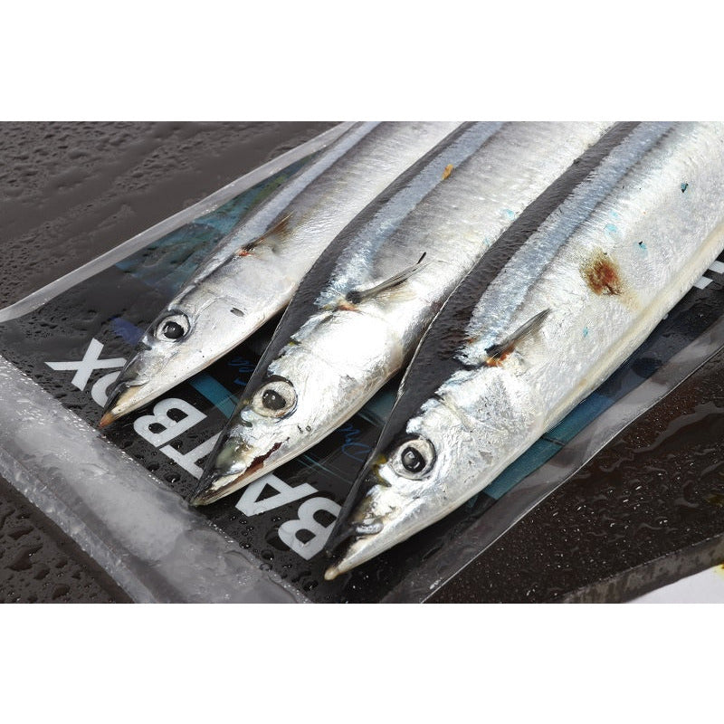 Seafreeze Bluey x 3 (In-Store Only) – Taskers Angling