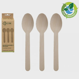 Eco Connections Spoon 24pk