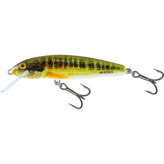 Salmo Minnow Floating 6cm - Taskers Angling