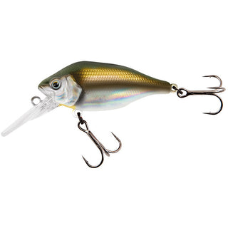 Fox Rage Funk Bug 40mm Shallow Runner - Taskers Angling